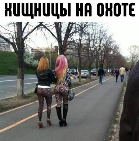 Nightjar - 22  2018  09:27 - 33