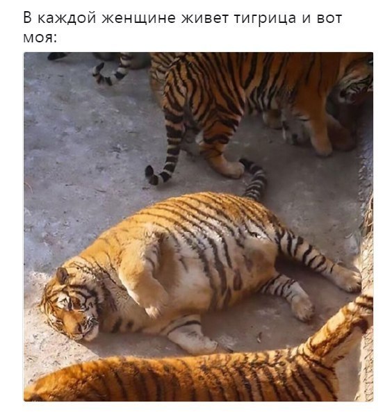   - 9  2018  03:56