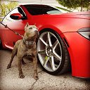 ���� �������, ���������, 40 ��� - ��������� 14 ������ 2018