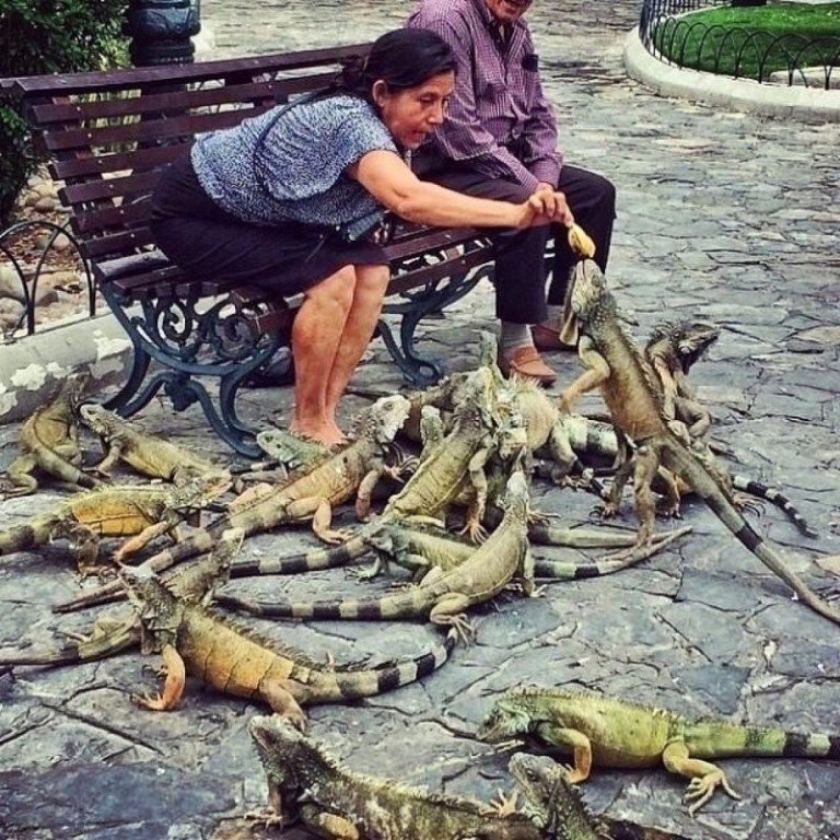    ,  