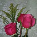 ���� ����, �����, 47 ��� - ��������� 10 ������ 2018 � ������ ���� ����������