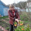 ���� �������, ���������, 61 ��� - ��������� 27 ��� 2018 � ������ ������ ��������