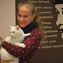 ���� �����, �����-���������, 33 ���� - ��������� 28 ������ 2017 � ������ ���� ����������