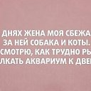  ,  , 56  -  21  2018    