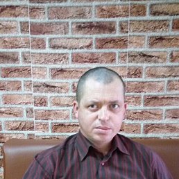 , 41, 