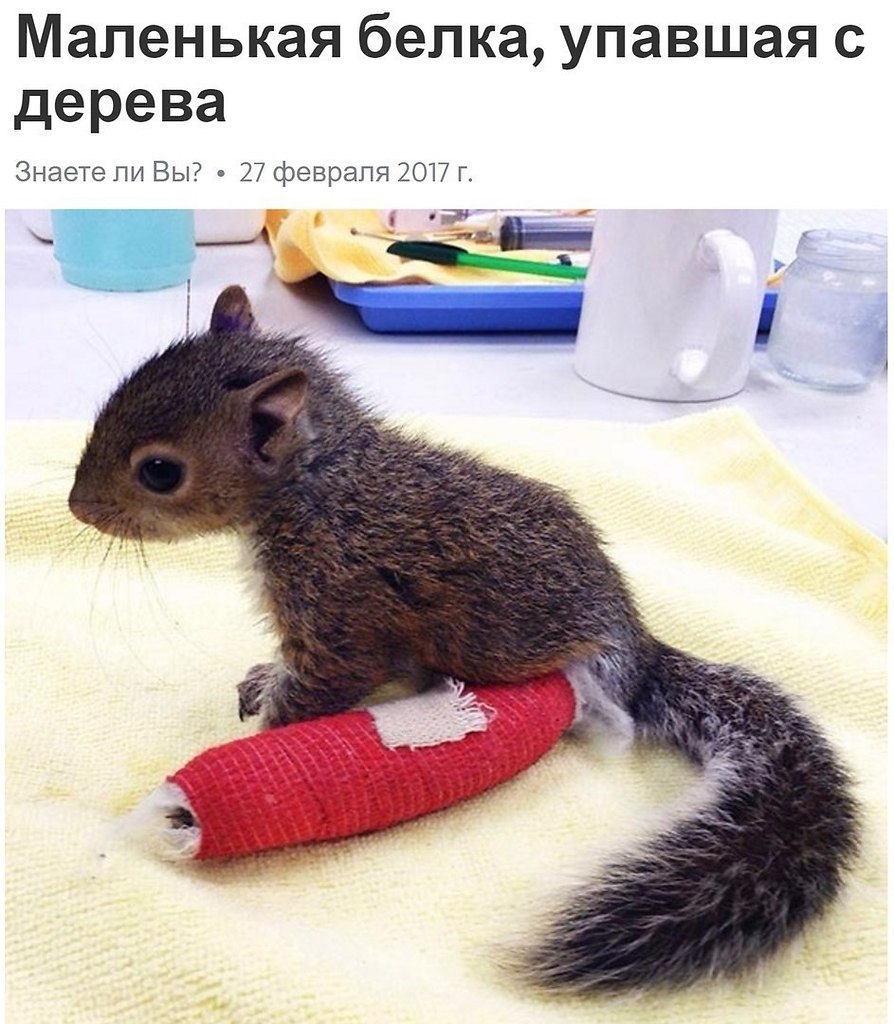  - 3  2018  03:49