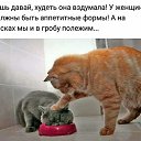 ���� �����, �����������, 47 ��� - ��������� 10 ������� 2017 � ������ �����������