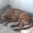 ���� �������, �����-���������, 45 ��� - ��������� 8 ����� 2018 � ������ ������ ��������