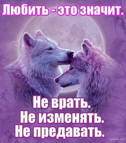   - 12  2018  19:55