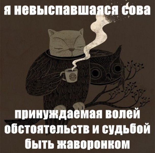    - 24  2018  03:05