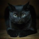  Viktoria, , 47  -  15  2017    