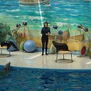 ���� ������, ������ ��������, 25 ��� - ��������� 18 ������� 2017 � ������ ���� ����������