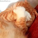 ���� ����, ������ - ��������� 5 ���� 2018 � ������ ���� ����������