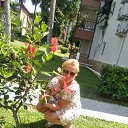  , -, 46  -  29  2018    