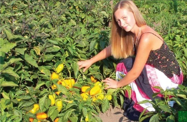 ,  ,     BioGrow Plus https://fotostrana.ru/away?to=/sl/0UQ .   ... - 5