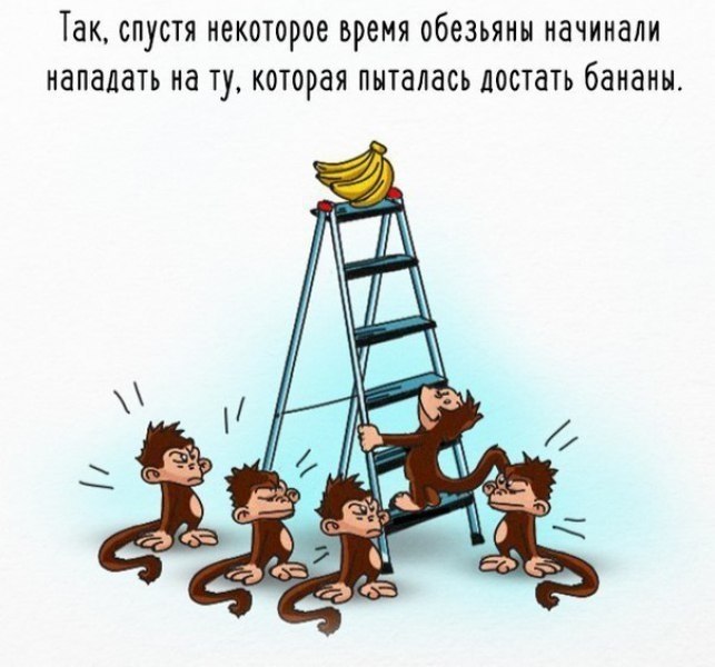        . - 3