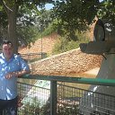 ���� Alexander, ����-����, 63 ���� - ��������� 25 ��� 2018 � ������ ���� ����������