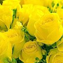 ���� ������, ������ - ��������� 9 ��� 2018 � ������ ���� ����������