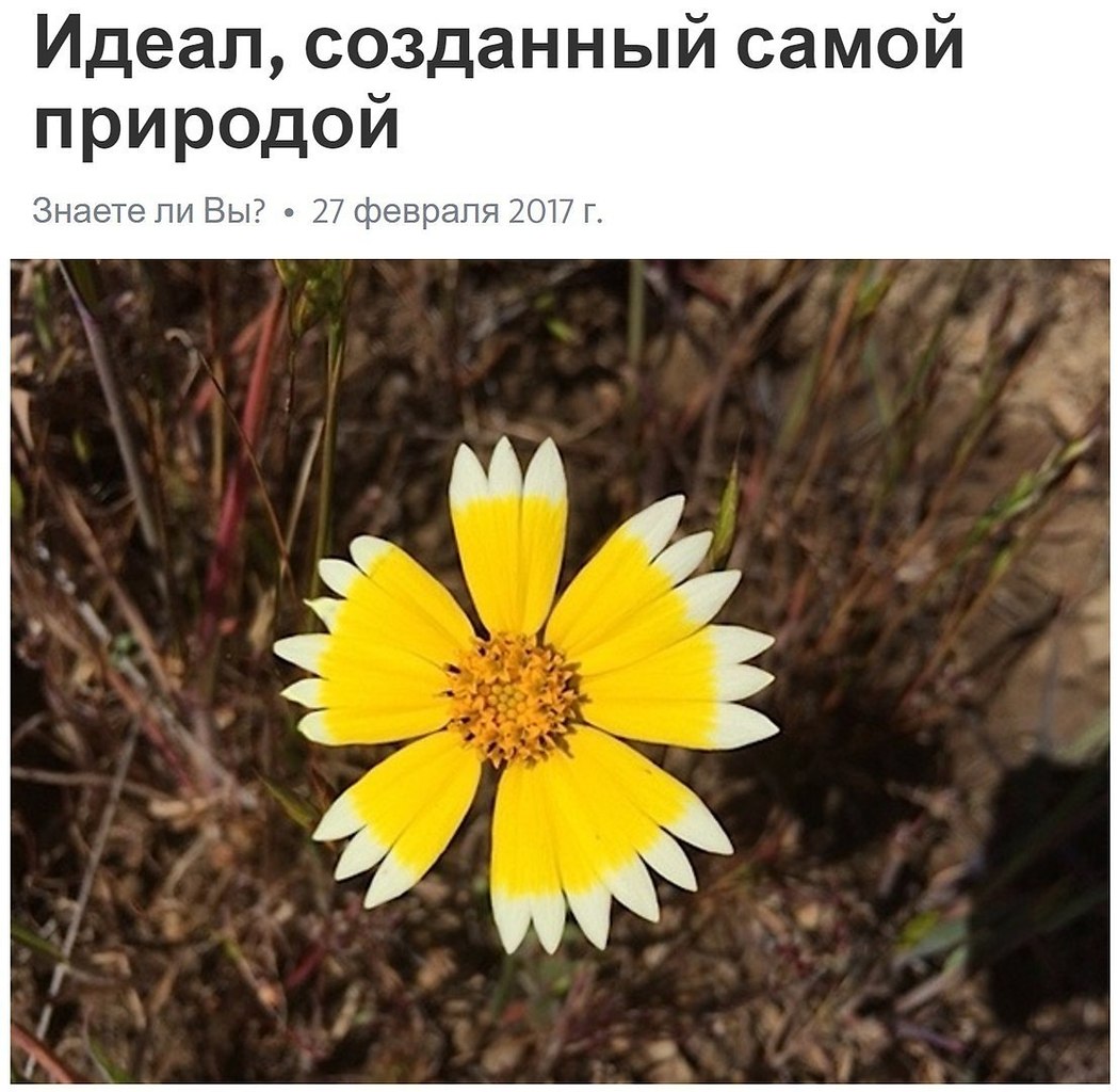  - 3  2018  03:49