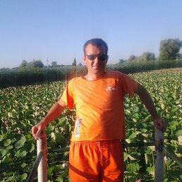 �����, ������