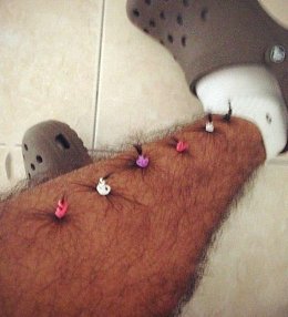 �����������