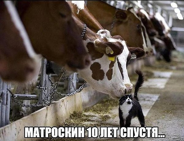 ��������� �������� �����)).���������� :)#������� #������� - 4