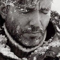 Argo, ���������