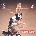 ���� �����, ������ - ��������� 26 ����� 2018 � ������ ���� ����������