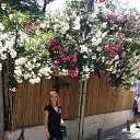 ���� ���, ����� �� ����, 46 ��� - ��������� 15 ��� 2018 � ������ ����� ���� ���