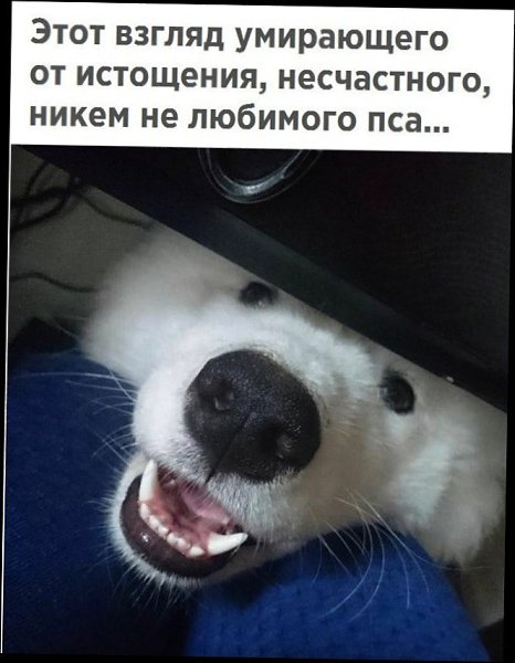   - 23  2018  02:54