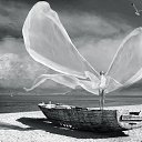 ���� ������, ��������, 45 ��� - ��������� 6 ���� 2018 � ������ ���� ����������