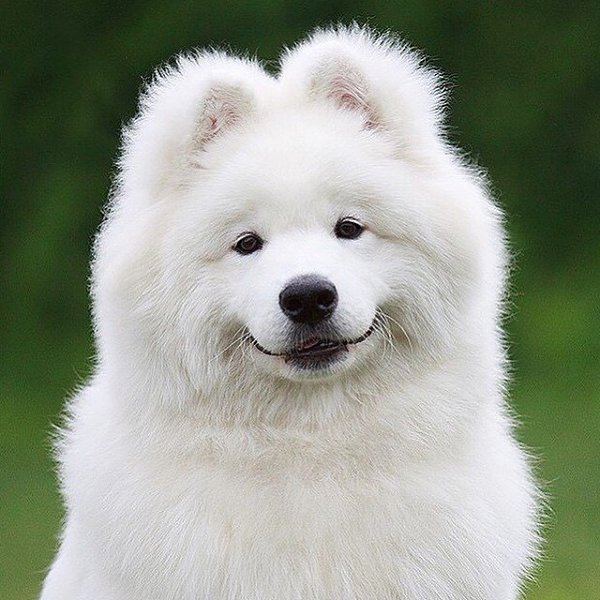  !