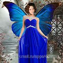 ���� ���� ����, ������ - ��������� 12 ������� 2017 � ������ ���� ����������