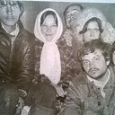  , , 66  -  23  2018   . , 1981