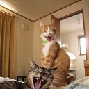 ���� ������, ���, 45 ��� - ��������� 31 ��� 2018 � ������ ���� ����������