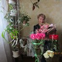 ���� �������� 17.12.2017 �� ������� ������ ��������