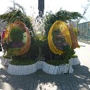  -   !,  -  14  2018    .   2018