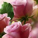 ���� Larisa, ���������, 48 ��� - ��������� 17 ������� 2018 � ������ ���� ����������