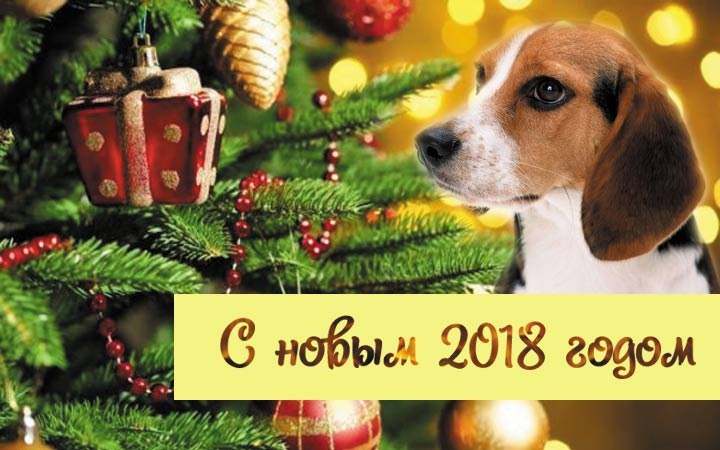 ��������� ������! ���������� ��� � ����������� ����� 2018 �����! ����� ������, ����� ����� ������� , ...