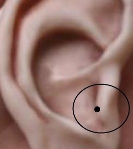 КАК СНИЗИТЬ ДАВЛЕНИЕ? Говорят, болезни - гипертония, на самом деле не существует в природе. Это ...