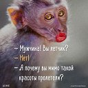 ���� ������ �������, �����-��������� - ��������� 7 ��� 2018 � ������ ������ ��������