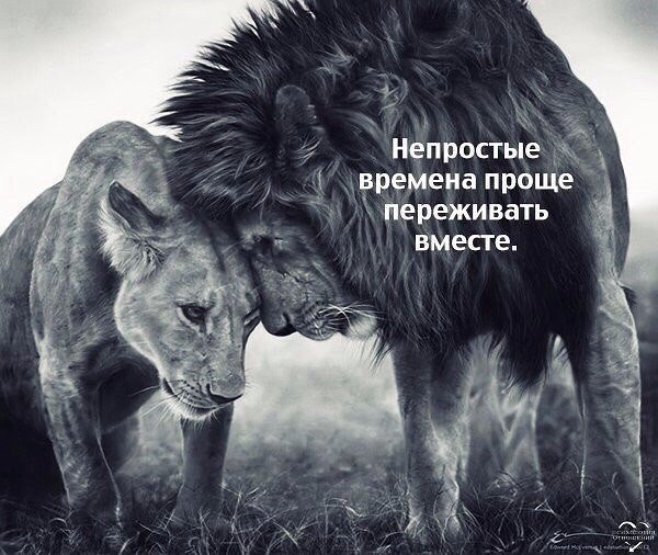 Всегда буду ценить и уважать тех людей которые в трудную минуту скажут : Не бойся я с тобой ! - 4