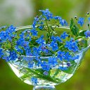 ���� Vera, ������ - ��������� 25 ����� 2018 � ������ ������ ��������