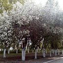 ���� �������, ��������, 41 ��� - ��������� 26 ��� 2018 � ������ �2018�