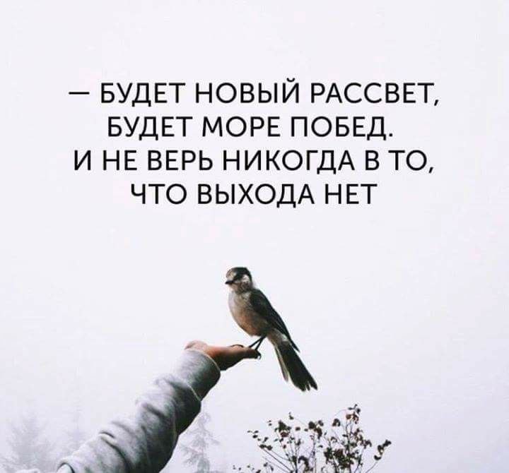   - 18  2018  18:55