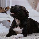 ���� �����, �����-��������� - ��������� 8 ��� 2018 � ������ �:))�