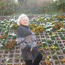 ��������� "����-����". �� ������� ���� ����������