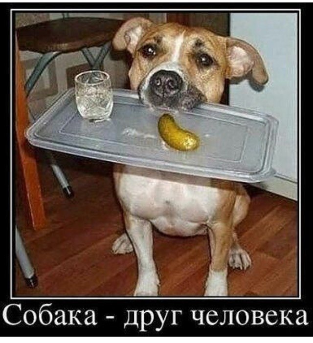   ,  ,     . , , ! ! ...