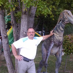 ��������, ����