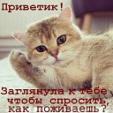 ���� �����, �������������, 48 ��� - ��������� 12 ���� 2018